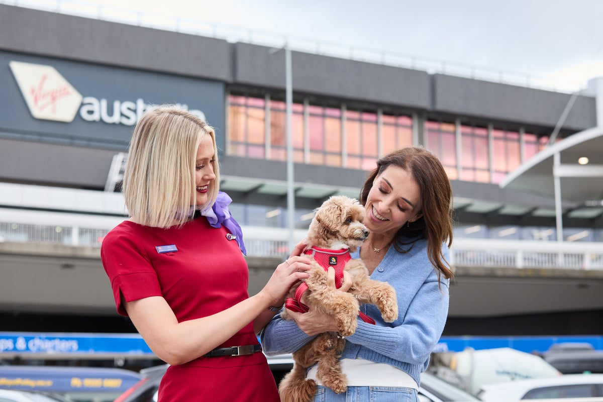 Virgin Australia first Australian airline to allow pets in the cabin Virgin Australia first Australian airline to allow pets in the cabin